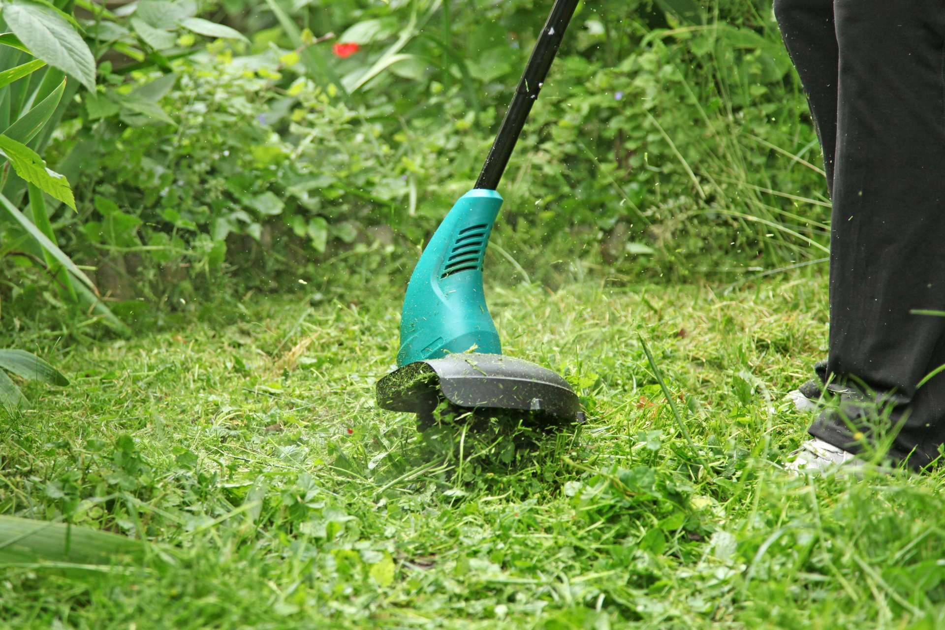 Débroussaillage nettoyage terrain Le Crès
