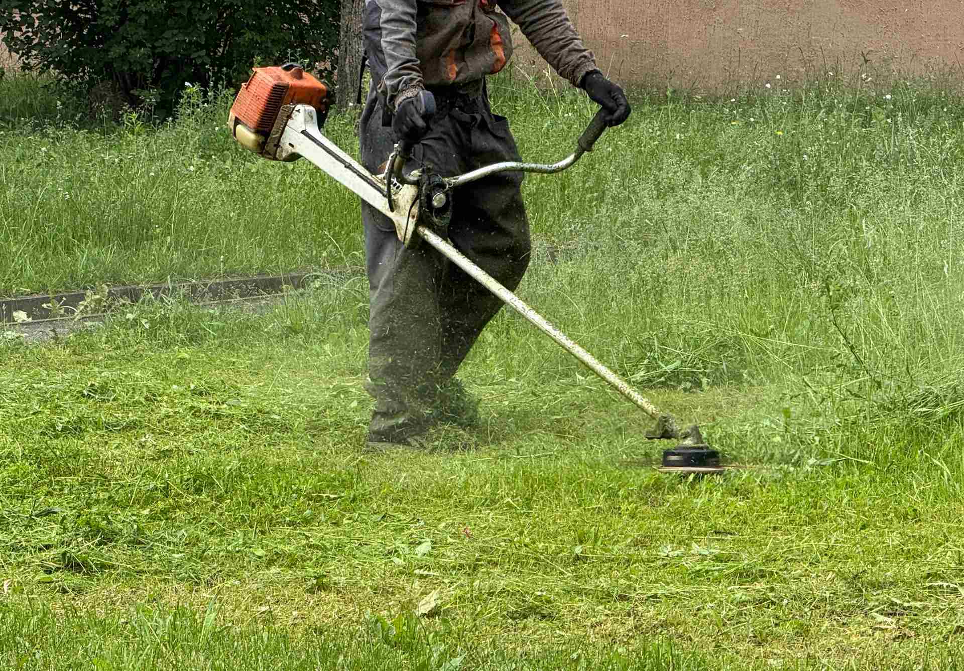 Débroussaillage nettoyage terrain Le Crès