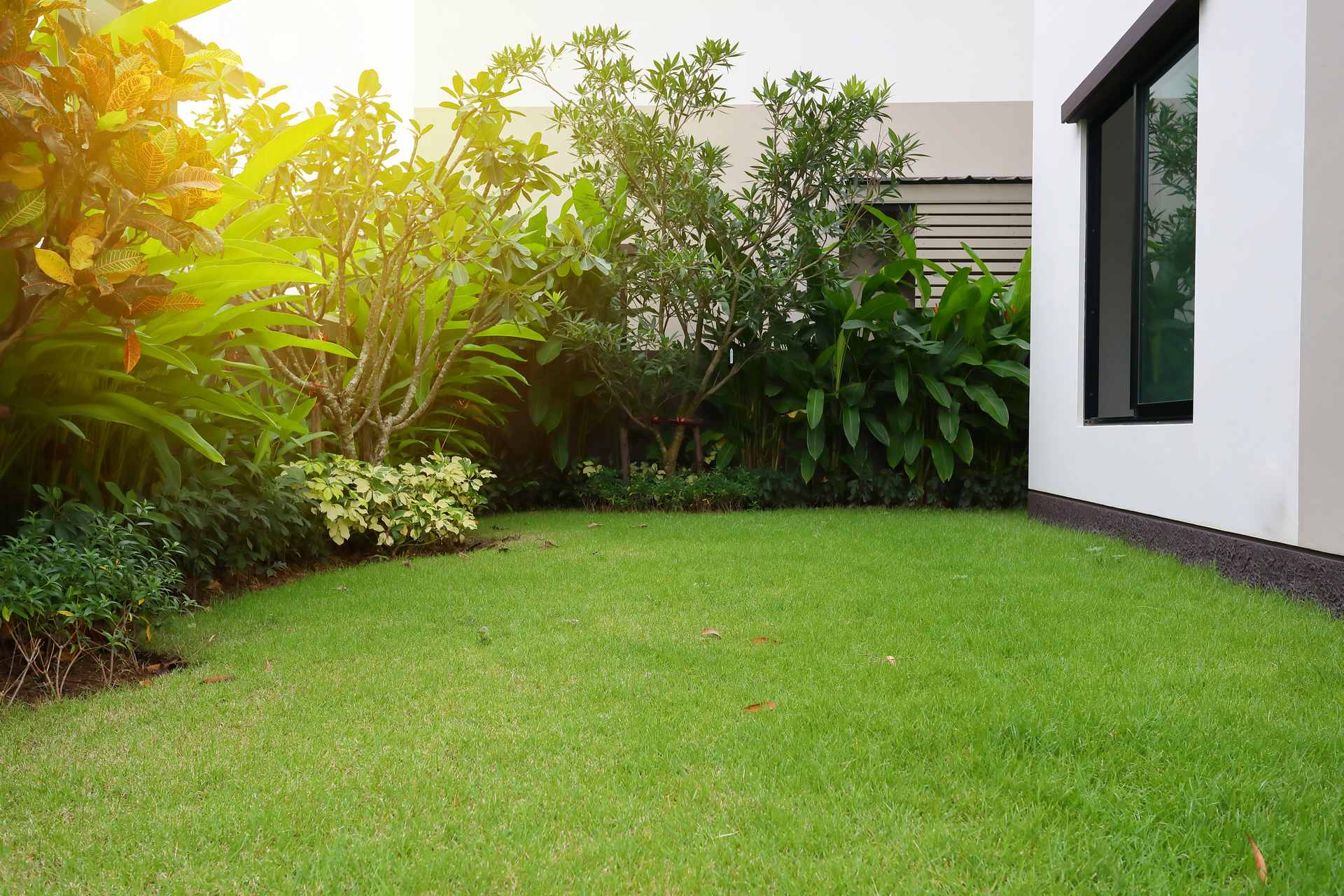 Entretien d'Espaces Verts et Jardinage à Castelnau-le-Lez