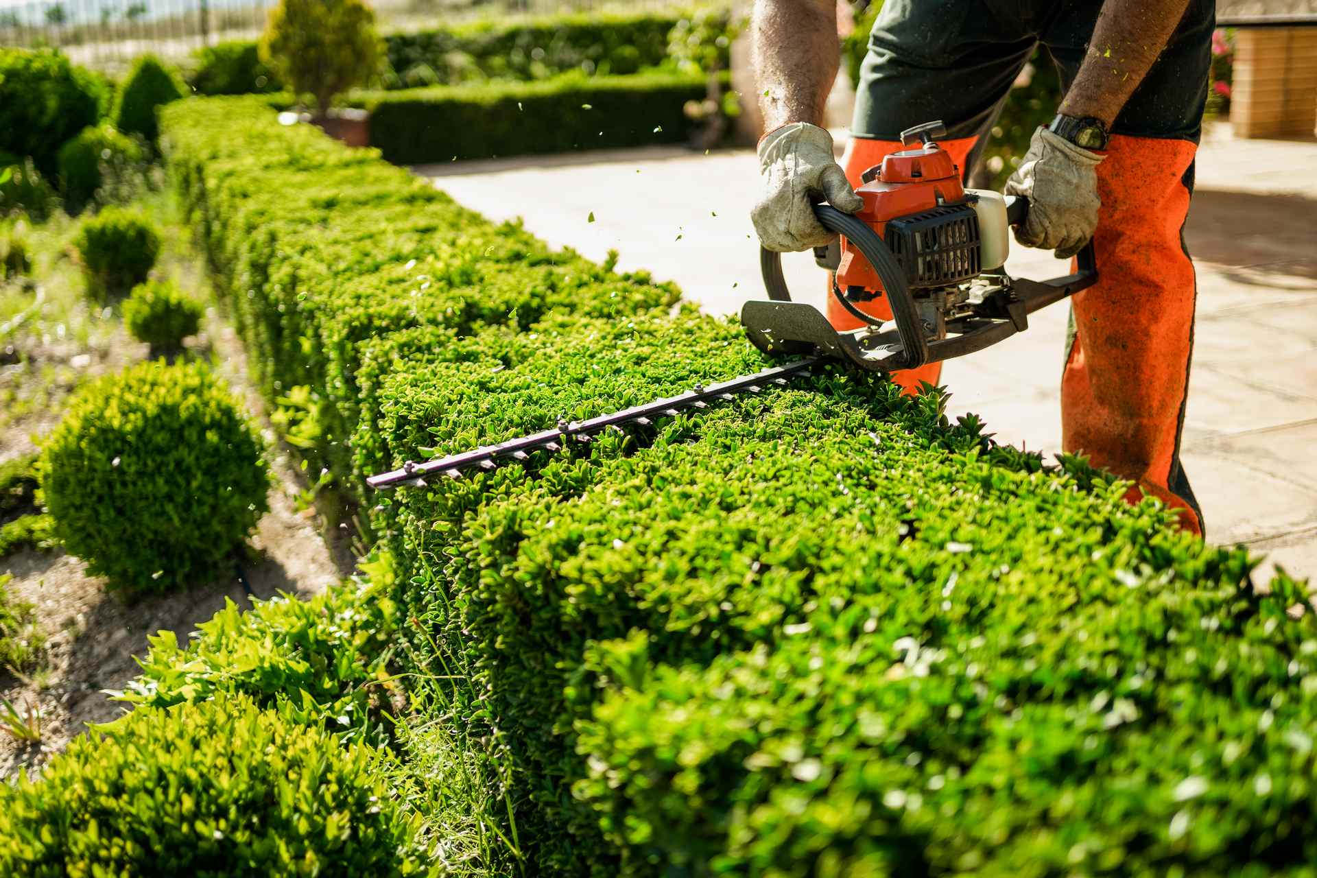 Entretien d'Espaces Verts et Jardinage à Castelnau-le-Lez